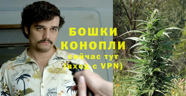 стафф Горно-Алтайск