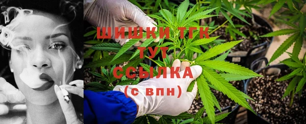 стафф Горно-Алтайск