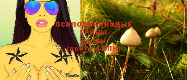 мескалин Гусиноозёрск