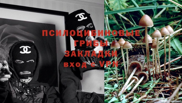 марки nbome Горнозаводск
