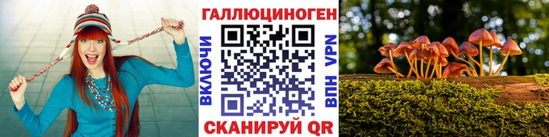 Галлюциногенные грибы MAGIC MUSHROOMS  Купить  Володарск 