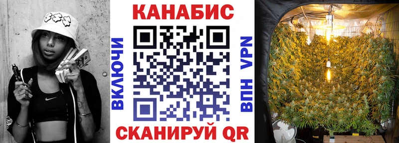 Бошки Шишки Amnesia  Купить закладки  Володарск 